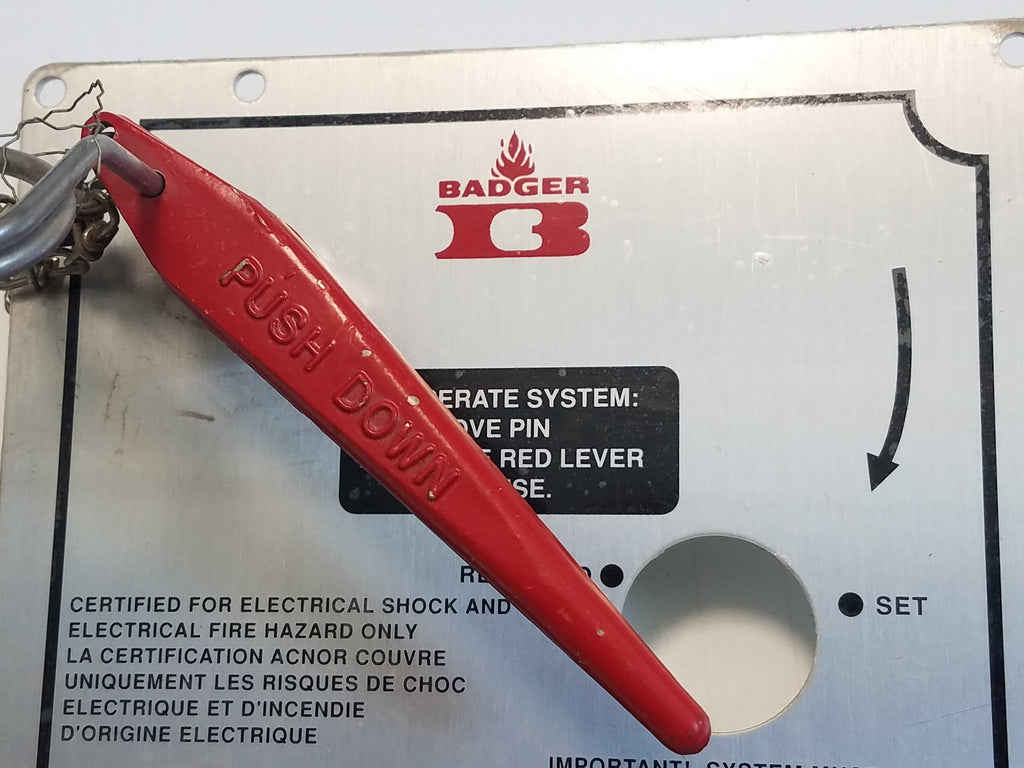 Badger 294542-900 Pneumatic / Electrical Control Head
