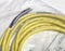 Allen Bradley 889D-M4AC-3 4-Pin DC Micro Straight 889D QD Cordset 3m Cable - New