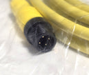 Allen Bradley 889D-M4AC-3 4-Pin DC Micro Straight 889D QD Cordset 3m Cable - New
