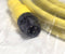 Allen Bradley 889D-M4AC-3 4-Pin DC Micro Straight 889D QD Cordset 3m Cable - New