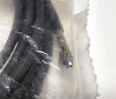 Leuze CB-M12-5000S-5WF Shielded 90 Deg. Cable 429072 Cordset - New / Sealed