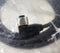 Leuze CB-M12-5000S-5WF Shielded 90 Deg. Cable 429072 Cordset - New / Sealed