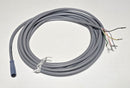 Schmersal A-K6P-M8-R-G-5M-GY-1-X-A-4 Safety Sensor Cable 101206011 6-Wire - New