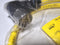 Turck CSWM 12-12-1/S817 12-Pin 90 Male 3' Cable U2-04264 - New / Sealed