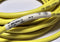Allen Bradley 889D-M5AC-10 5-Pin Male Straight QD 10m Cable - New