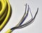 Allen Bradley 889D-M5AC-10 5-Pin Male Straight QD 10m Cable - New