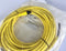 Allen Bradley 889D-M5AC-10 5-Pin 10M DC Micro Straight QD Cordset Cable - New