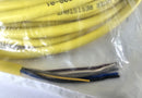 Allen Bradley 889D-M5AC-10 5-Pin 10M DC Micro Straight QD Cordset Cable - New