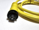 Allen Bradley 889N-F4AE-6F 4-Pin Mini Straight 6' Cable - New