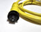 Allen Bradley 889N-F4AE-6F 4-Pin Mini Straight 6' Cable - New