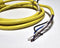Allen Bradley 889N-F4AE-6F 4-Pin Mini Straight 6' Cable - New