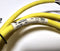 Allen Bradley 889N-F4AE-6F 4-Pin Mini Straight 6' Cable - New