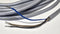Balluff BES M12ML-PSC40F-BV00-002 10-30VDC 5M Molded Proximity Sensor - New