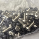 RITTAL EL 2089 M6 x 16 Phillips Head Screws & Washer 100-Pack