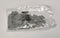 Wago 255-100 Terminal Block End Plate Snap Fit Pack of 100 - New / Sealed