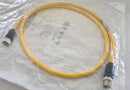 Murr 7700-40021-1500100 M12 male 0° / M12 female 0° 4x18AWG 1M Cable - New