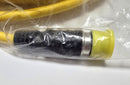 Turck CSSM CKM 19-19-10 MultiFast M23 19-Pin U4704-89 Extension Cable 10m - New