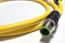Murr 7700-40021-1500100 M12 male 0° / M12 female 0° 4x18AWG 1M Cable