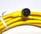 Belden / Lumberg Automation RST 3-RKWT 4-3-731/6M Straight to 90 Deg Cable - New