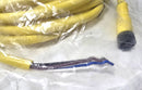 Allen Bradley 889D-F4AE-5 M12 Female to Leads 4-Pin DC Micro 5-Meter Cable - New