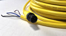 Allen Bradley 889D-M4AE-15 M12 Male to Leads 4-Pin 15-Meter Cable - New