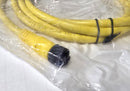 Allen Bradley 889D-F4AE-2 M12 Female to Leads 4-Pin DC Micro 2-Meter Cable - New