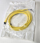 Allen Bradley 889D-F4AE-2 M12 Female to Leads 4-Pin DC Micro 2-Meter Cable - New