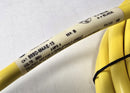 Allen Bradley 889D-M4AE-15 M12 Male to Leads 4-Pin 15-Meter Cable - New