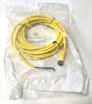 Allen Bradley 889D-F4AE-5 M12 Female to Leads 4-Pin DC Micro 5-Meter Cable - New