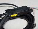 Banner D10DNCFP 12-24VDC Fiber Optic Sensor