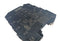 Phoenix Contact 2804623 LIT 2x2-24 Surge Protector Terminal Module - New
