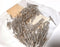 IQNet Contact / LAPP 11.2210 H-D SCEG AG 0.5-1.5 mm2 Male Pins ( Lot of 100 )
