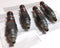 Sun SCCA-LAN Hydraulic Sequence Valve Cartridge 1LB5 ( Lot of 4 )
