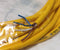 Murr 7000-12021-0140500 Male M12 Straight Yellow 5M Cable 4-Pin 22AWG - New
