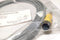 Murr M1B-4FP-3M 4-Pin Female Molded End Sensor Cable 300V 4A 22AWG - New/Sealed