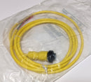 Allen Bradley 889N-F3AEA-6F 3-Pin Straight AC 10A 300V 6' Yellow Cable - New
