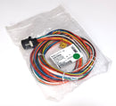 Brad Connectivity 3R1004A20F060 Bulkhead 10 Pos Female to 10 Wire Leads 6' 16AWG