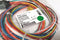 Brad Connectivity 3R1004A20F060 Bulkhead 10 Pos Female to 10 Wire Leads 6' 16AWG