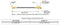 Kidde Fenwal 87-120045-001 Range Guard 120045 High Pressure Hose – 7.5″ Length